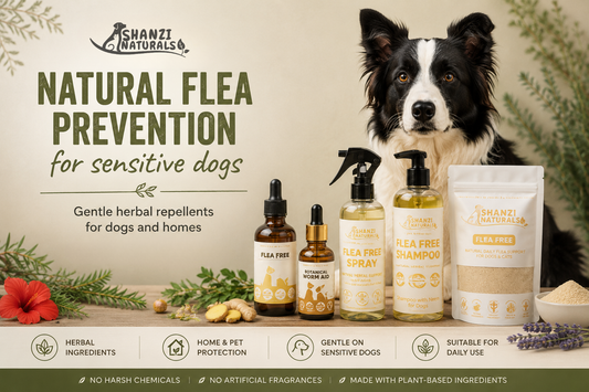 Border Collie beside natural herbal flea prevention products including flea drops, flea spray, flea shampoo and flea powder for dogs and homes by Shanzi Naturals.