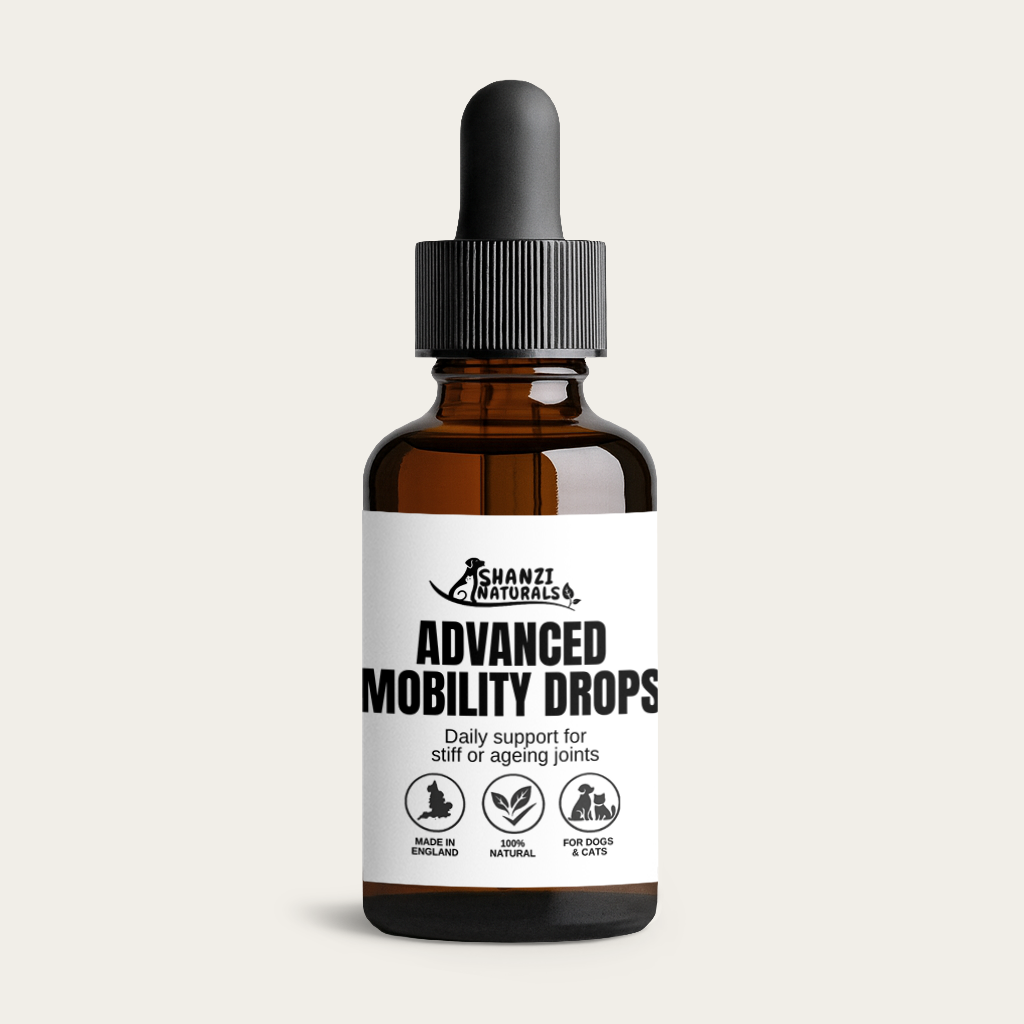 Amber bottle of Shanzi Naturals Advanced Mobility Drops natural joint support supplement for dogs and cats on a light beige background