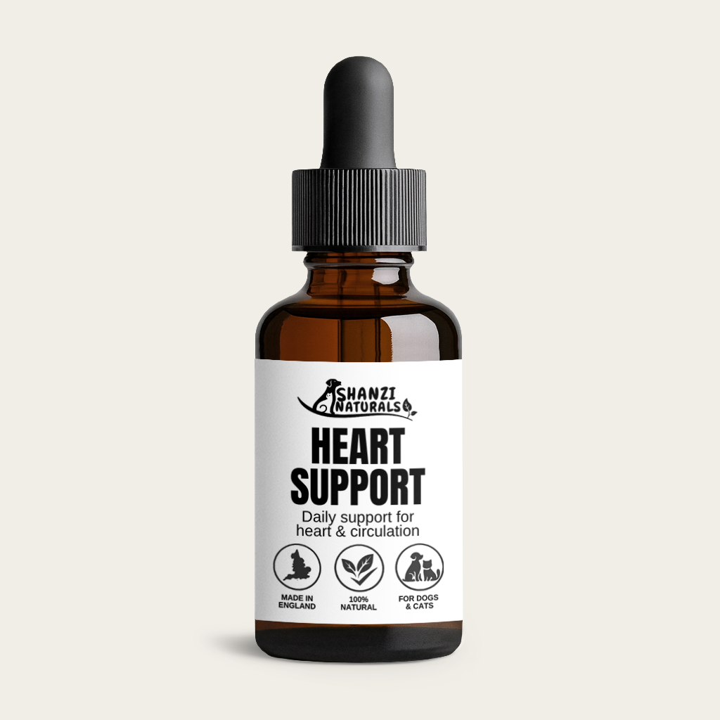 Amber glass dropper bottle of Shanzi Naturals Heart Support herbal tincture for dogs and cats with minimalist black and white label design.