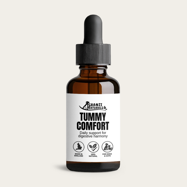 Amber glass dropper bottle of Shanzi Naturals Tummy Comfort Drops with white minimalist label for digestive harmony support in dogs and cats.
