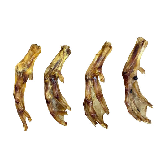 Natural dried duck feet dog treats – crunchy single-protein chew