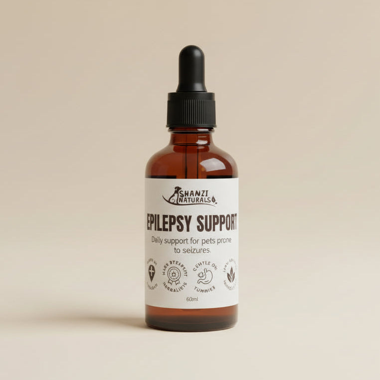 Epilepsy Support Tincture - 60ml