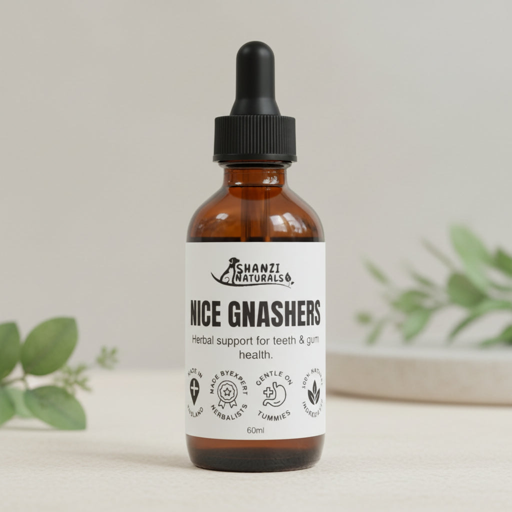 Nice Gnashers – Oral Hygiene & Fresh Breath Formula