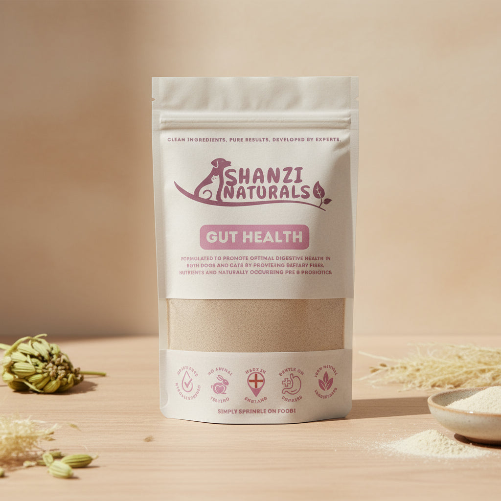 Shanzi Naturals Gut Health product packaging on a wooden surface with a gray background