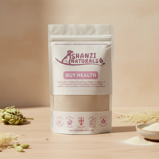 Shanzi Naturals Gut Health product packaging on a wooden surface with a gray background