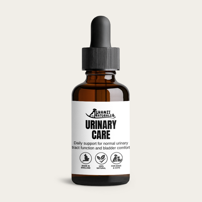 Bottle of Shanzi Naturals Urinary Care on a light beige background