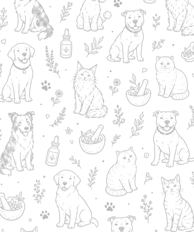 <h1>SUPPORTING PETS FROM THE <span style="text-decoration:underline">INSIDE OUT</span></h1><p></p>